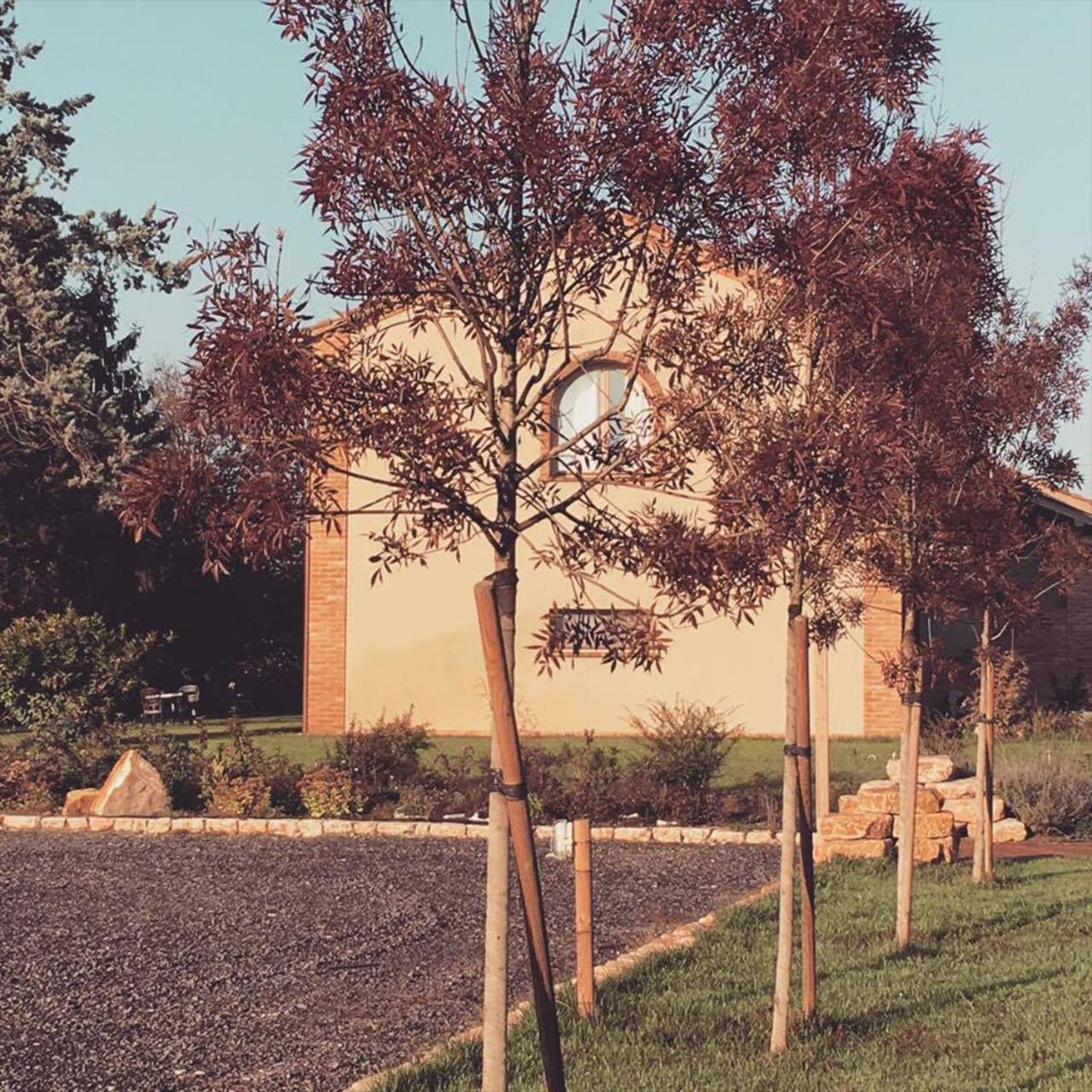 Agriturismo Bassanine Monticelli dʼOngina Eksteriør bilde